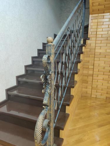 巴库Baku Red Villa的金属楼梯,带绳子