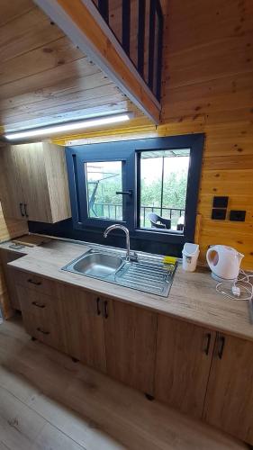 阿克恰阿巴德HAN Tiny House的小屋内的厨房设有水槽和窗户