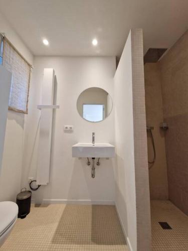 安特卫普Tiny house的一间带水槽和卫生间的浴室