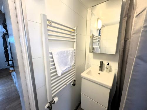 雷克雅未克Day Dream Mjostraeti 10a的白色的浴室设有水槽和镜子