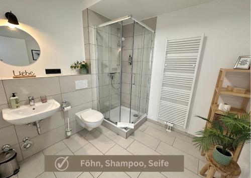 科布伦茨Buddha Apartment的带淋浴、卫生间和盥洗盆的浴室