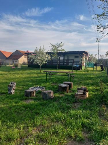 奥日什Siedlisko Kalimera的草原上设有野餐桌和原木的公园