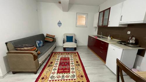 GökçeŞahan Apart的带沙发的客厅和厨房