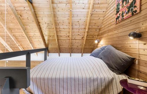 齐斯维勒莱厄2 Bedroom Cozy Home In Tisvildeleje的木制客房内的一间卧室,配有一张床