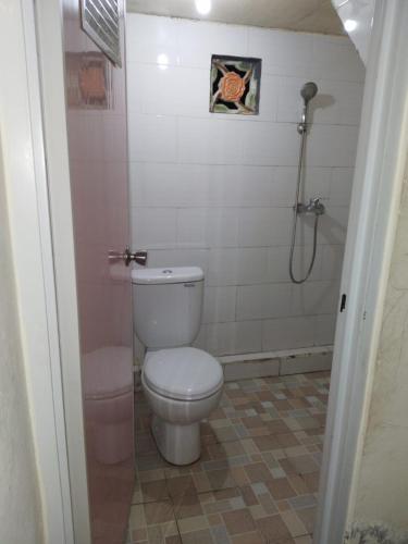 贾蒂卢维Anish Homestay的一间带卫生间和淋浴的浴室