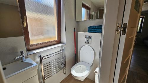 基拉尼Holiday Home in Killarney的一间带卫生间和水槽的小浴室