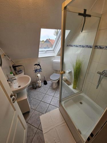 维策Ferienwohnung Ludwig的带淋浴、盥洗盆和卫生间的浴室