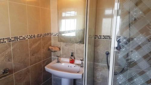 巴利康尼利Coral Strand Lodge的一间带水槽和淋浴的浴室