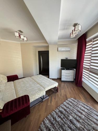 基希讷乌Dendrarium Park Apartament的酒店客房设有两张床和电视。