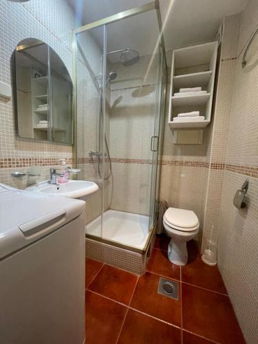 布德瓦Perla的带淋浴、卫生间和盥洗盆的浴室