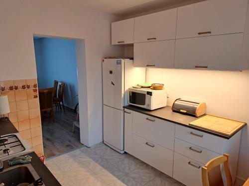 奥格罗杰涅茨Serce Jury的厨房配有白色冰箱和微波炉