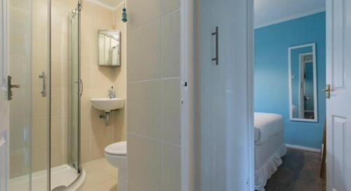 圣艾夫斯Rebels Retreat - 2-Bed Chalet nr St Ives & Hayle的带淋浴、卫生间和盥洗盆的浴室