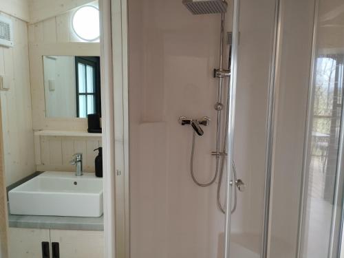 阿尔邦Camping Domaine de Senaud的白色的浴室设有水槽和淋浴。