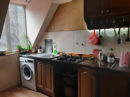 巴统Everyday Cat Hostel的厨房配有炉灶和洗衣机。