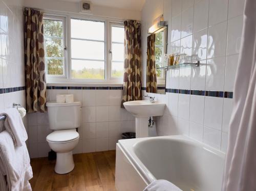 安布尔塞德斯科尔维斯大桥酒店的浴室配有卫生间、浴缸和水槽。