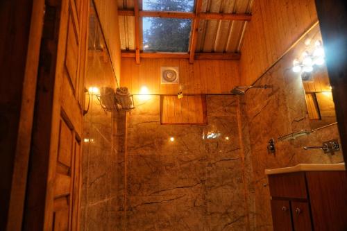 SainjStargazing Treehouse Himachal的带淋浴和盥洗盆的浴室