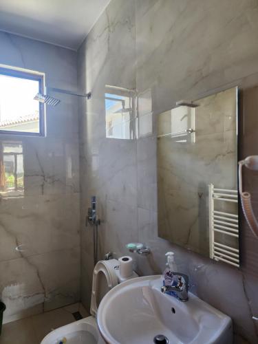 吉诺卡斯特Dhami Apartment的一间带水槽、卫生间和镜子的浴室