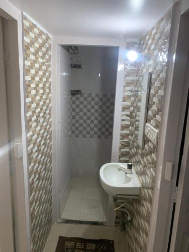 巴特那Sukh garden luxury stay的浴室配有盥洗盆和带镜子的淋浴