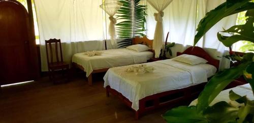 伊基托斯Amazon Tropical Expeditions的一间卧室配有两张带白色床单和植物的床。