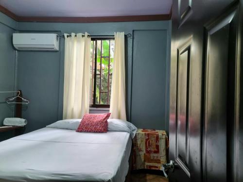 托尔图格罗Wildlife Tortuguero的一间卧室配有一张红色枕头的床
