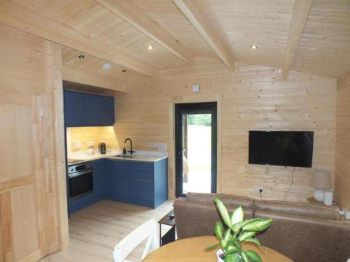 基拉尼KillarneyCabins ie, Stunning Timber Lodges的厨房以及带沙发和桌子的客厅。