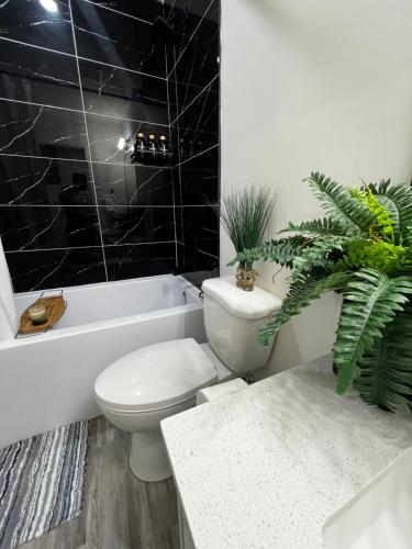 埃德蒙顿Cozy Haven!的浴室设有卫生间和植物浴缸。