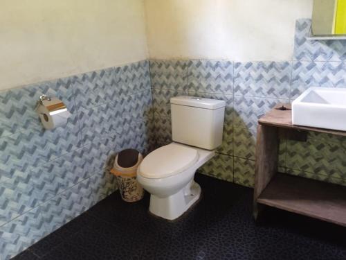 NautaAmazon Jungle Reps的一间带卫生间和水槽的浴室