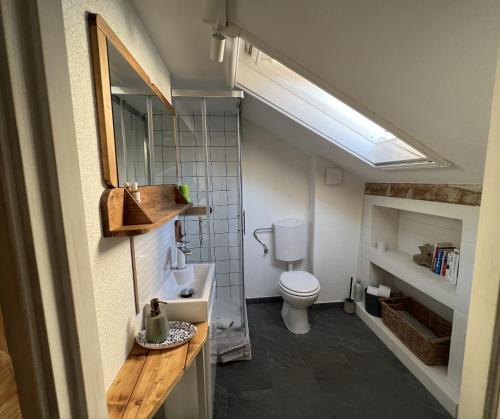 苏提万Eco Chalet Style Apartment的一间带卫生间和水槽的小浴室