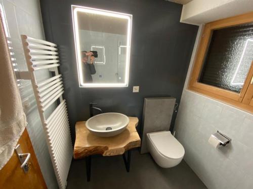 AyerThe Raven B&B的一间带卫生间、水槽和镜子的浴室