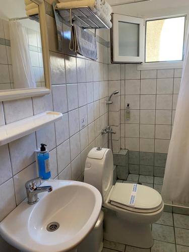 帕拉利亚卡泰里尼斯考拉里酒店的一间带卫生间和水槽的小浴室