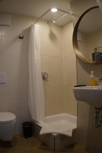 乌尔丁根-米赫尔霍芬Hofgut Stefan的带淋浴、卫生间和盥洗盆的浴室