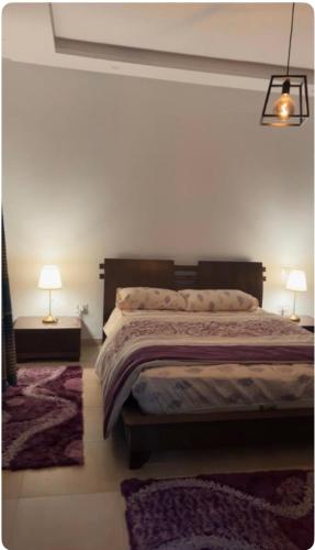斯法克斯Dar Mim的一间卧室配有一张带两盏灯和两张地毯的床。