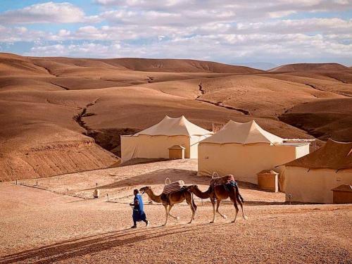 马拉喀什Maison linda的两个骆驼在沙漠中行走的男人