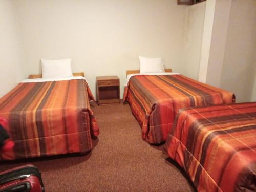 普诺PUNO EROPA HOTEL的一间酒店客房,房间内设有两张床