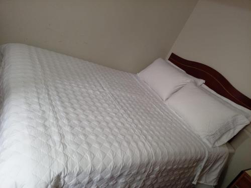 普诺PUNO EROPA HOTEL的客房内的一张带两个枕头的白色床