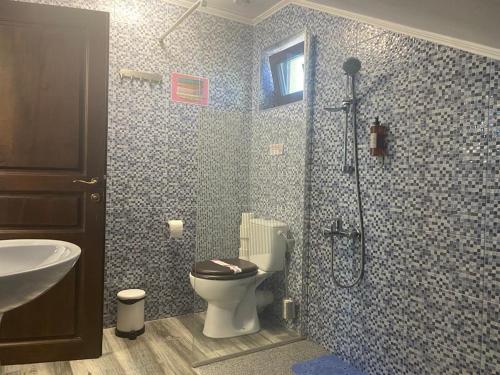 穆里吉奥尔Pensiunea Belvedere Murighiol的带淋浴、卫生间和盥洗盆的浴室