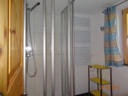 BlonsHaus Sücka的带淋浴和浴帘的浴室
