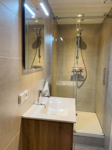 斯内克Appartement Boothuis的一间带水槽和淋浴的浴室