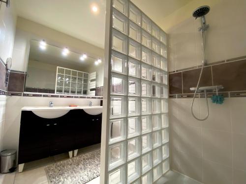 热拉梅Aux pieds des pistes 4/6 personnes的浴室配有盥洗盆和带镜子的淋浴