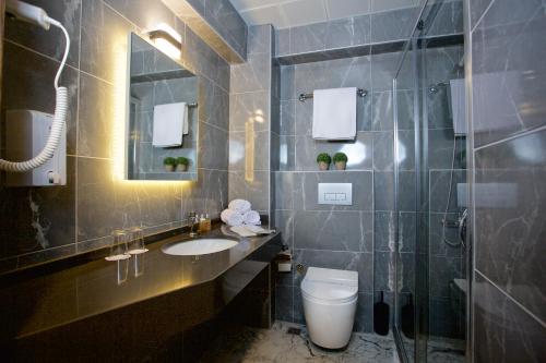 伊斯坦布尔大蚂蚁酒店的一间带卫生间、水槽和镜子的浴室
