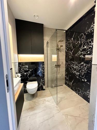 斯蒂格纳Apartamenty Belona的一间带卫生间和玻璃淋浴间的浴室