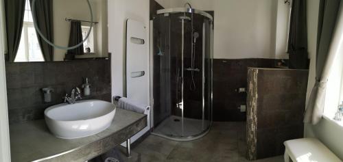 梅泽堡Appartements Neef的一间带水槽和淋浴的浴室