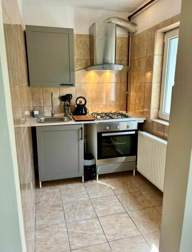 GiurgiuCozy studio flat的小厨房配有炉灶和水槽