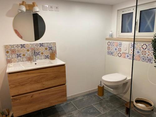 蒂恩奎克斯appart studio complet RDC de maison avec extérieur的一间带卫生间、水槽和镜子的浴室