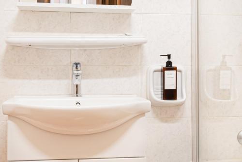 罗马Hotel Domus Rome的白色的浴室设有水槽和肥皂机