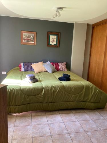门多萨Departamento Lemos的一间卧室,卧室内设有一张绿色大床