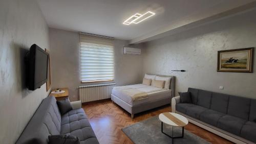 弗尔尼亚奇卡矿泉镇Dukat Apartmani-Studio的客厅配有沙发和1张床