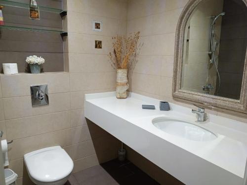 Beit MeriNew apartment in Tilal Fanar resort pool Tennis的一间带水槽、卫生间和镜子的浴室