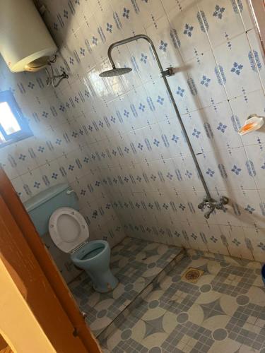 Kiembi SamakiWonder house zanzibar的一间带卫生间和淋浴的浴室