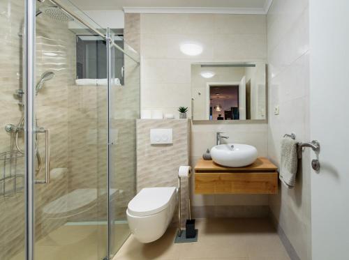 兹沃格谢Villa Leona a luxury villa near Makarska, heated pool的浴室配有卫生间、盥洗盆和淋浴。